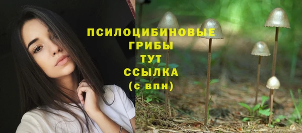 амф Абаза