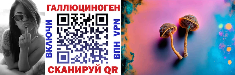 Галлюциногенные грибы GOLDEN TEACHER  ОМГ ОМГ как войти  Почеп  купить  